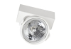 Opbouwspot open 1xAR111 inclusief voeding 12V